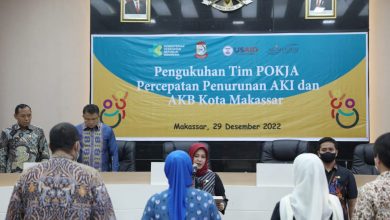 Penurunan AKI-AKB, Indira Yusuf Ismail Tekankan Kerja Sama Multi Stakeholder