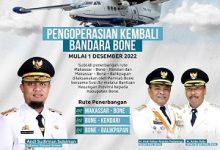 Disubsidi Pemprov Sulsel, Ini Harga Tiket dan Rute Penerbangan di Bandara Bone