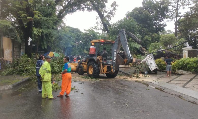 Pohon di Halaman Rumah Aksa Mahmud Tumbang Timpa Dua Mobil