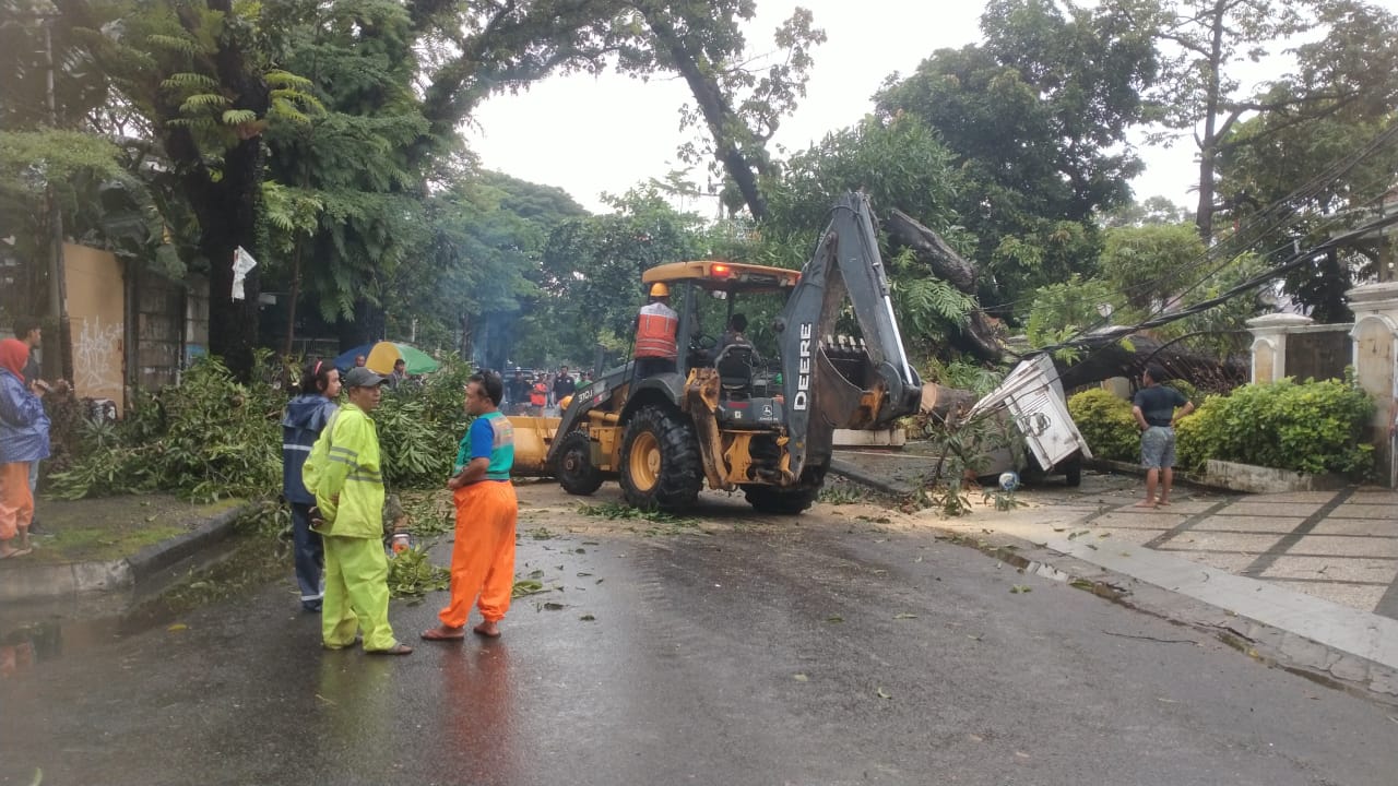 Pohon di Halaman Rumah Aksa Mahmud Tumbang Timpa Dua Mobil