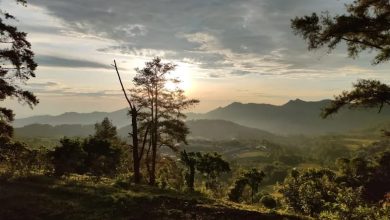 Panorama Puncak Malino Camp Bisa Menjadi Salah Satu Alternatif Wisatawan