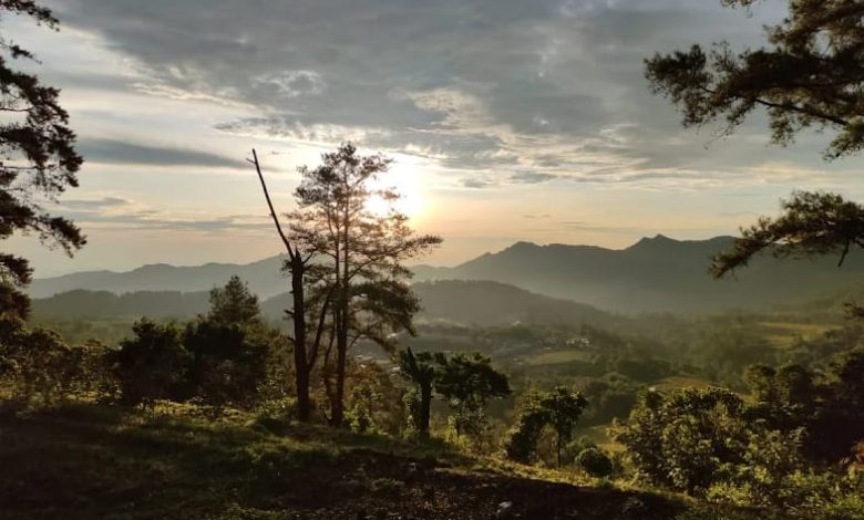Panorama Puncak Malino Camp Bisa Menjadi Salah Satu Alternatif Wisatawan
