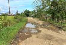 Puluhan Tahun Tak Mendapat Perhatian, Warga Minta Pemerintah Akses Jalan Desa Binuang Diperbaiki