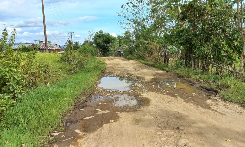 Puluhan Tahun Tak Mendapat Perhatian, Warga Minta Pemerintah Akses Jalan Desa Binuang Diperbaiki