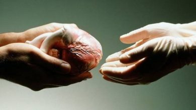 Polisi Tunggu Hasil Tes Kejiwaan Tersangka Penjual Organ Anak di Makassar