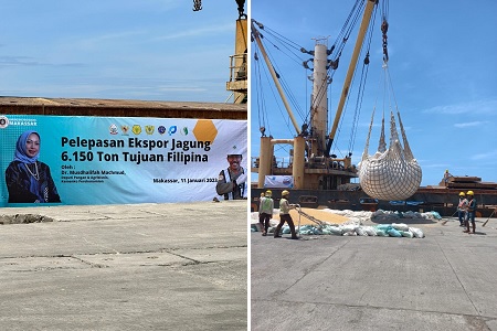 Ekspor Perdana 2023, 6.150 Ton Jagung Sulsel Masuk Pasar Filipina