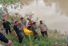 Mayat Wanita Tersangkut di Pohon di Sungai Walannae Gegerkan Warga Lapri
