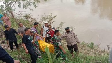 Mayat Wanita Tersangkut di Pohon di Sungai Walannae Gegerkan Warga Lapri
