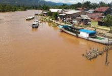 Di Hulu Hutan Dibabat Tanah Ditambang, Sungai Malili Tercemar