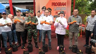 Indira Yusuf Ismail Hadiri Program Satu Juta Polybag Gerakan Terus Menanam Dukung Pemkot Makassar Tekan Inflasi