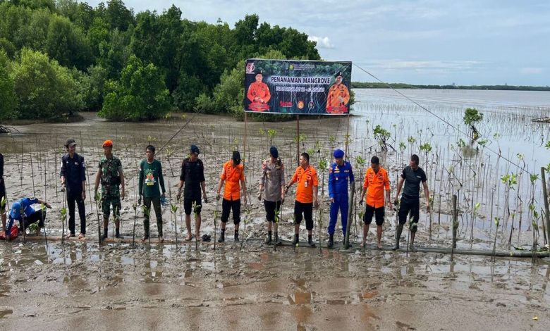 Memperingati HUT ke-51, Basarnas Sulsel Tanam 501 Bibit Mangrove di Pesisir Untia