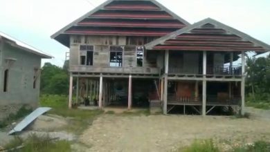 Bangunan rumah adat Wotu di Desa Arolipu, Kecamatan Wotu, Kabupaten Luwu Timur, Sulawesi Selatan
