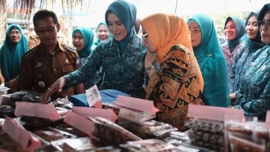 Strategi Pengelolaan Kelompok UP2K Gowa Dicontoh TP PKK Pesawaran