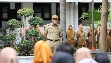 NJOP Naik, Nilai Aset Wali Kota Makassar Danny Pomanto Melonjak