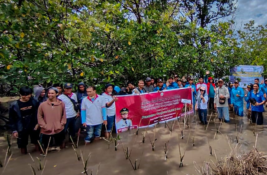 Target 154 Ribu Batang di Wilayah Bosowasi, DKP Sulsel Tanam Mangrove di Desa Polewali Bone
