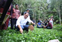 Danny Pomanto menghadiri peringatan 110 Tahun Injil Masuk Toraja (IMT) yang dihelat di Tongkonan Sangulele, Toraja Utara siang tadi, Rabu (15/03/2023).