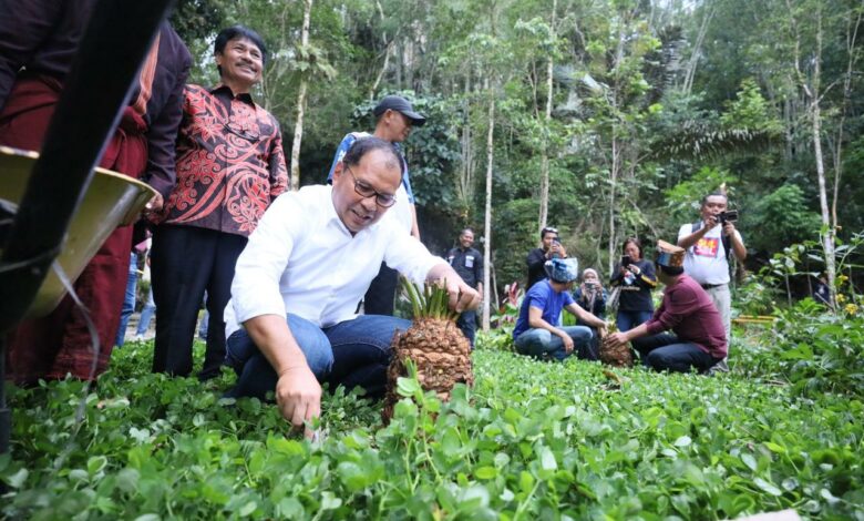 Danny Pomanto menghadiri peringatan 110 Tahun Injil Masuk Toraja (IMT) yang dihelat di Tongkonan Sangulele, Toraja Utara siang tadi, Rabu (15/03/2023).