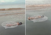 Mayat Laki-laki Ditemukan Terdampar di Pantai Tanjung Bayang Makassar