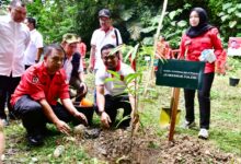 Gubernur Andi Sudirman Lepas 19 Spesies Kupu-kupu di Tenas Alumni Unhas di Bantimurung