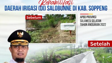 Rehab Irigasi Salobunne Rampung, Gubernur Andi Sudirman Harap Tingkatkan Hasil Pertanian