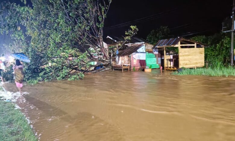 Pohon tumbang jalan poros Malili lantaran meluapnya sungai Mallaulu di Desa Ussu, Kecamatan Malili, Luwu Timur, Sabtu 01 April 2023, pada pukul 23.00 malam.