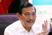 Luhut Sebut China Punya 15.906 Proyek di Indonesia