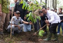 Gubernur Andi Sudirman Canangkan Gerakan Siswa Andalan Menanam 1 Juta Pohon