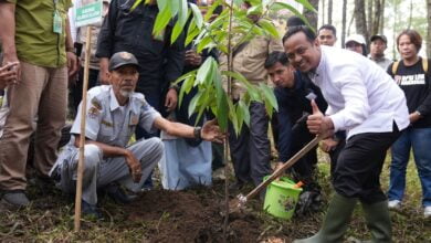 Gubernur Andi Sudirman Canangkan Gerakan Siswa Andalan Menanam 1 Juta Pohon