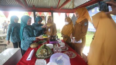 PKK Kecamatan Manuju Hadirkan Puding Kelor Pelangi, Kudapan dengan Nilai Gizi Tinggi Bagi Balita dan Ibu Hamil