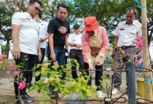 Galakkan Penghijauan, Ketua TP PKK Makassar Harap Hutan Kota Bertambah