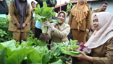 Fatmawati Rusdi Pantau Kesiapan Lomba Kelurahan Tingkat Kabupaten Kota 2023