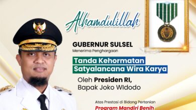 Gubernur Andi Sudirman Terima Penghargaan Satyalancana Wira Karya dari Presiden