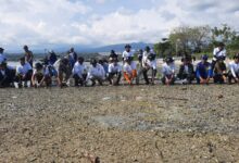 Kolaborasi dengan PLN dan Komunitas PemerhatinLingkungan, Pemkot Palu Tanam 1.100 Bibit Mangrove di Pantai Bulu Pountu