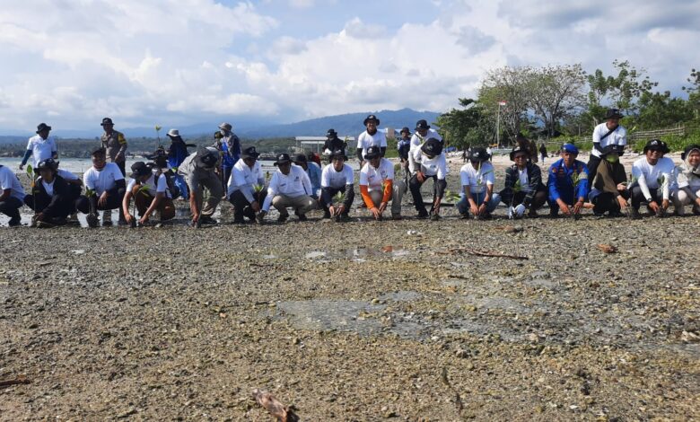 Kolaborasi dengan PLN dan Komunitas PemerhatinLingkungan, Pemkot Palu Tanam 1.100 Bibit Mangrove di Pantai Bulu Pountu