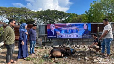 DPC NasDem Makassar Berbagi Daging Kurban di 15 Kecamatan