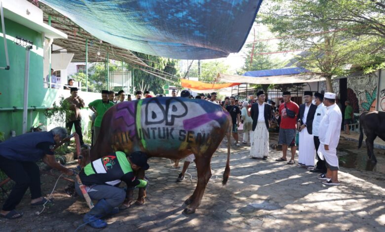 Danny Pomanto Saksikan Pemotongan Hewan Kurban dan Gelar Open House
