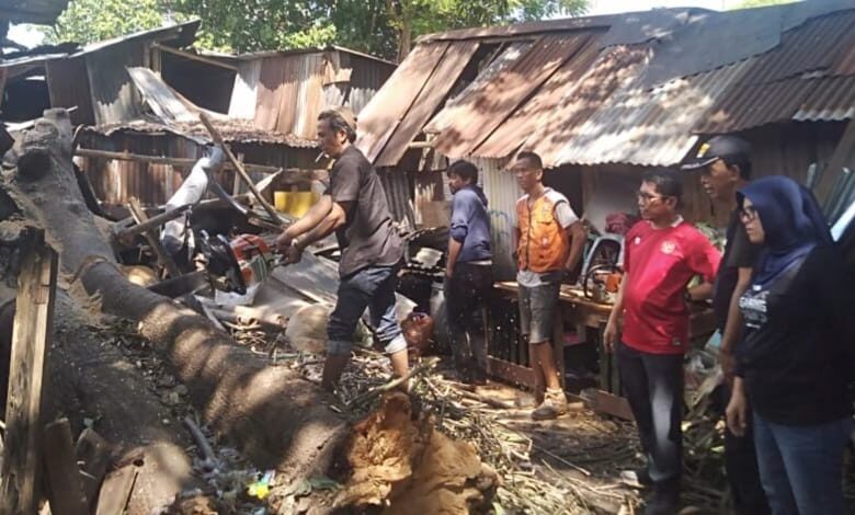 Anggota DPRD Makassar Muchlis Misbah Tinjau Rumah Warga Tertimpa Pohon di Jalan M Yamin