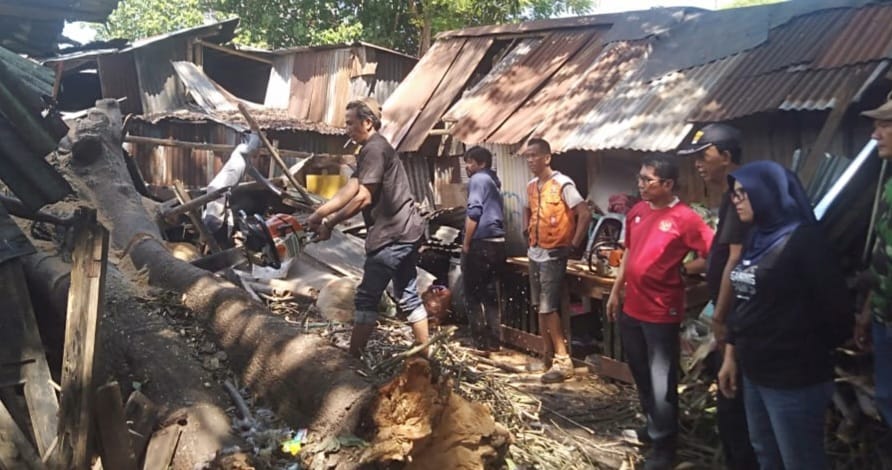 Anggota DPRD Makassar Muchlis Misbah Tinjau Rumah Warga Tertimpa Pohon di Jalan M Yamin