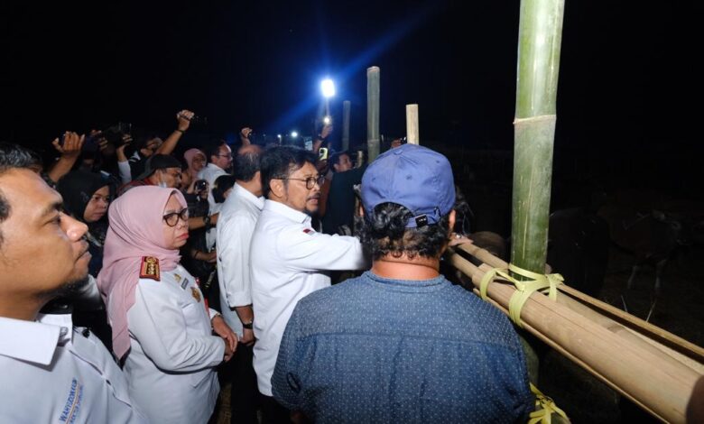 Jelang Idul Adha, Pemkab Gowa Pastikan Stok Hewan Kurban Aman