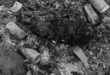 Morowali Gempar atas Penemuan Bayi Laki-laki Hanugs Terbakar di Pembuangan Sampah
