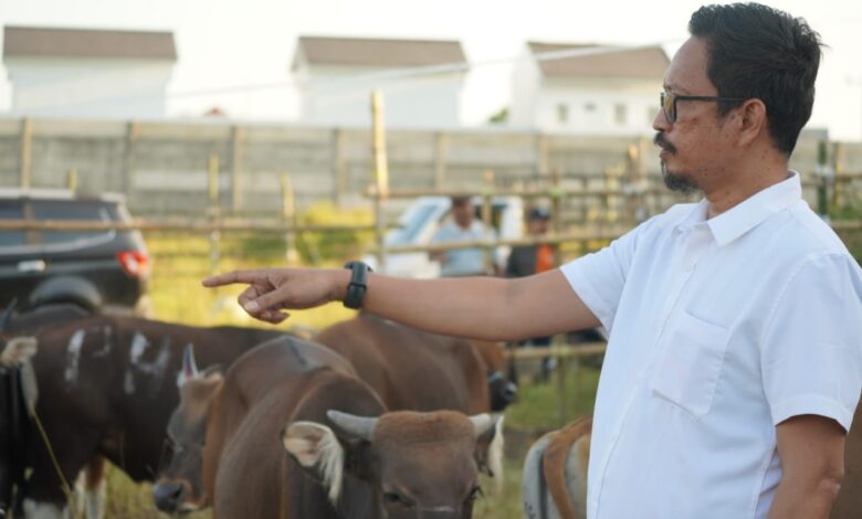 PD RPH Makassar Datangkan Ratusan Ekor Sapi Kurban dari Sumbawa