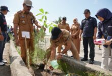 Peringati Hari Lingkungan Hidup, DLHK Tanam Pohon di Pantai Merpati