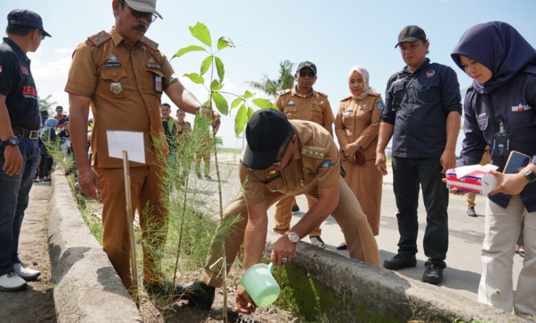Peringati Hari Lingkungan Hidup, DLHK Tanam Pohon di Pantai Merpati