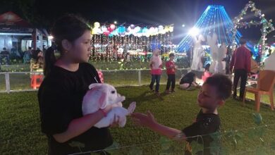 Makassar Light Festival Hadirkan Kelinci Impor Dalam Area Bermain Anak