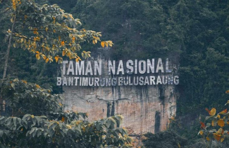 Indah Menakjubkan, Taman Nasional Bantimurung Surga Tersembunyi di Sulawesi Selatan