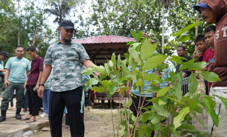 Gerakan Penghijauan, Gubernur Andi Sudirman Tanam 500 Pohon Produktif di Bone