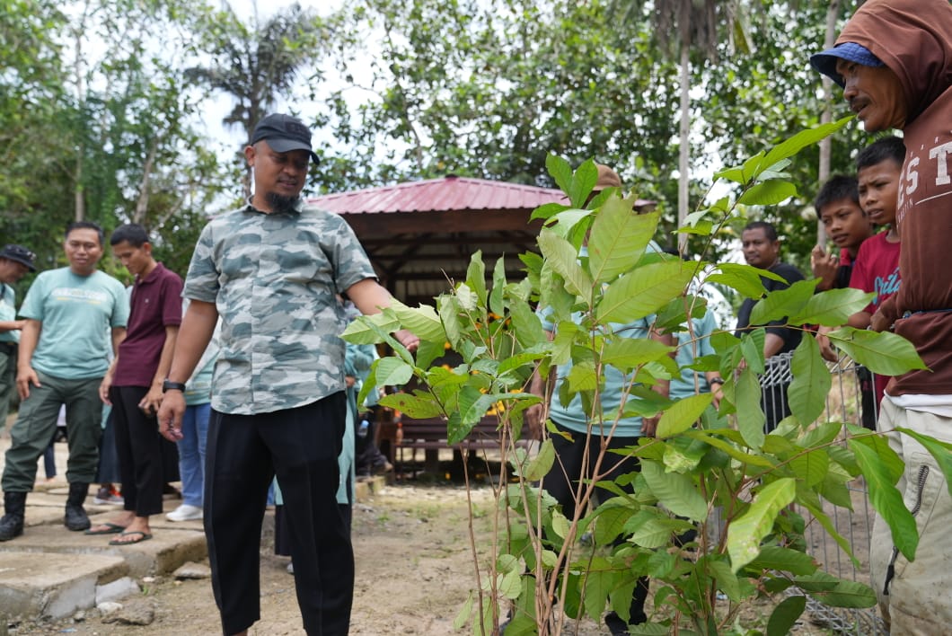 Gerakan Penghijauan, Gubernur Andi Sudirman Tanam 500 Pohon Produktif di Bone