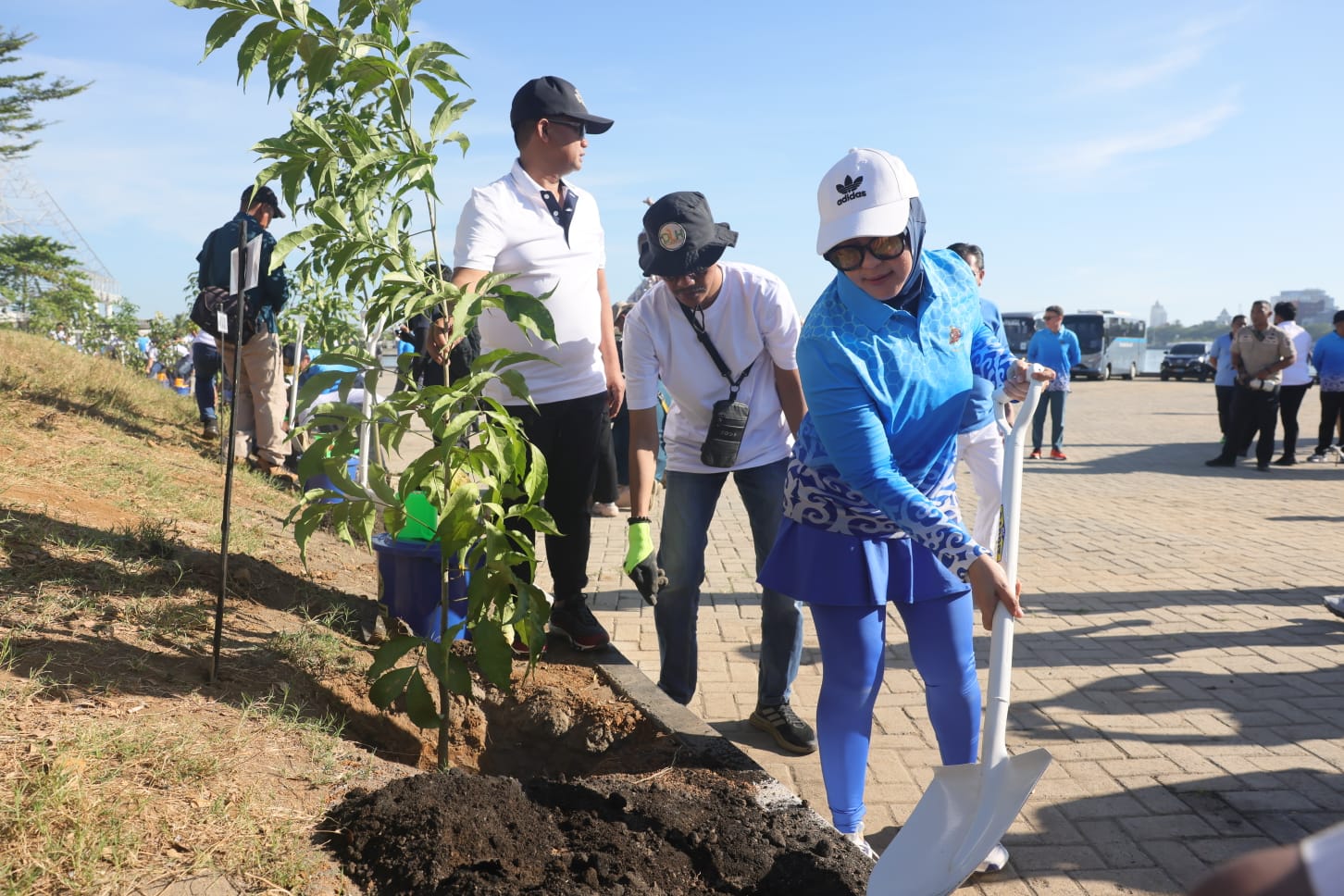 Tambah Luasan RTH Makassar, 150 Pohon Tabebuya Bakal Ditanam pada Gelaran APEKSI 2023