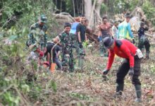 Sinergitas TNI Polri Terlihat di TMMD, Dandim Turun Pantau Pekerjaan