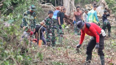Sinergitas TNI Polri Terlihat di TMMD, Dandim Turun Pantau Pekerjaan